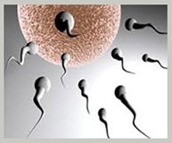 Low Cost Infertility Treatments in India