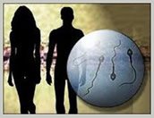 What is Infertility
