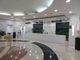 Artemis gallery 4